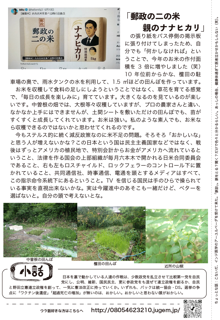 しらとリビア　白鳥建設ニュースレター　231号　No2