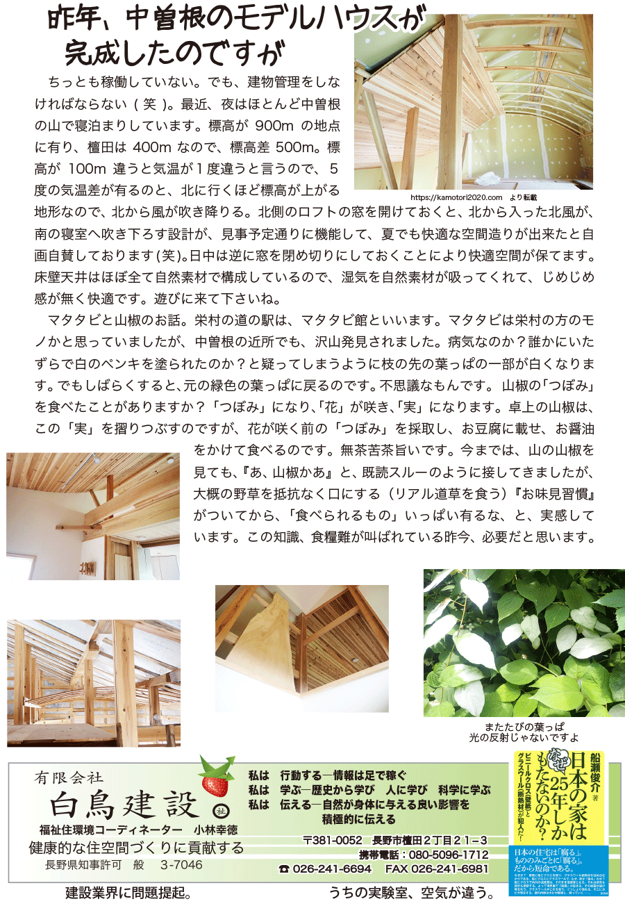 しらとリビア　白鳥建設ニュースレター　231号　No3